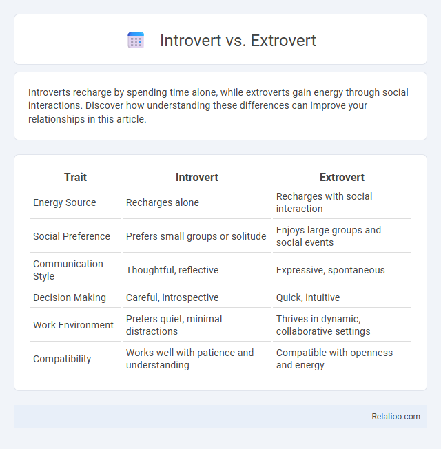 Introvert vs. Extrovert - What is The Difference?