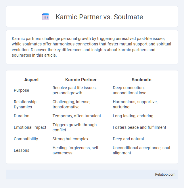 Karmic Partner vs. Soulmate - What is The Difference?