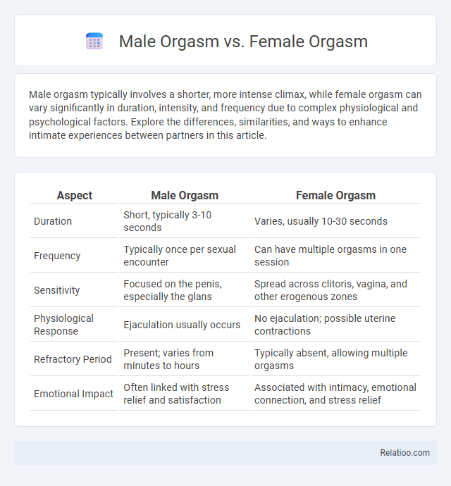 Male Orgasm vs. Female Orgasm - What is The Difference?
