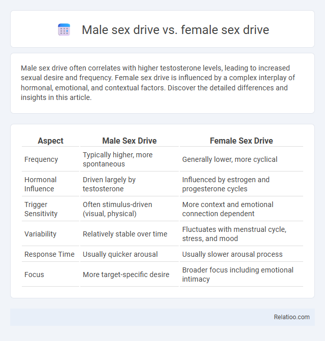 Male sex drive vs. female sex drive - What is The Difference?