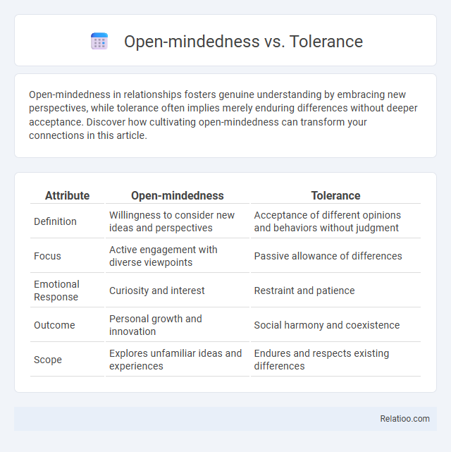 Open-mindedness vs. Tolerance - What is The Difference?