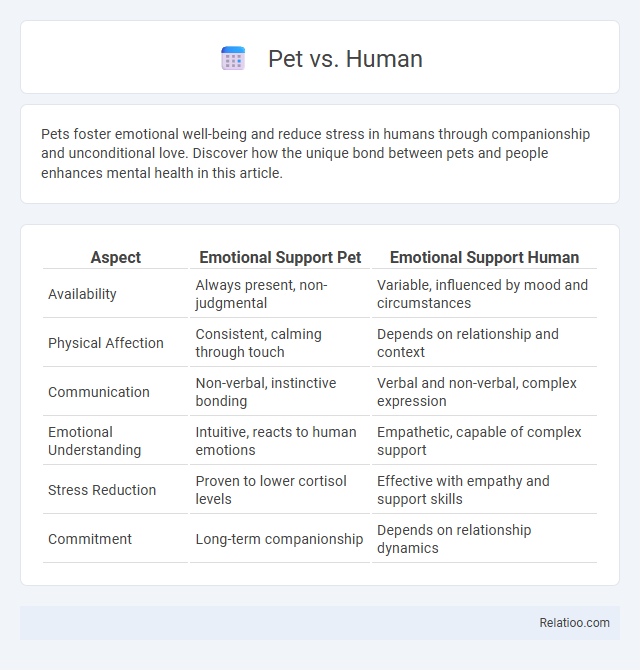 Pet vs. Human - What is The Difference?