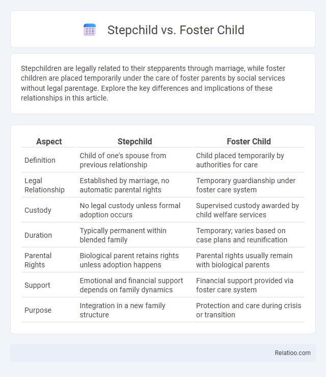 Stepchild vs. Foster Child - What is The Difference?