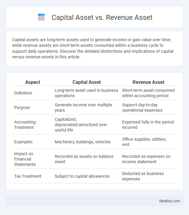 Capital Asset vs. Revenue Asset - What is The Difference?