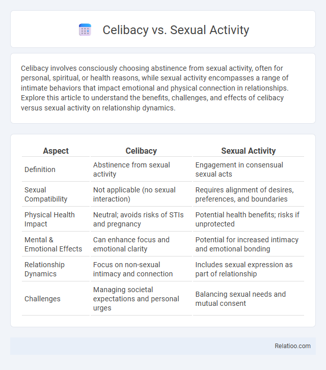 Celibacy vs. Sexual Activity - What is The Difference?