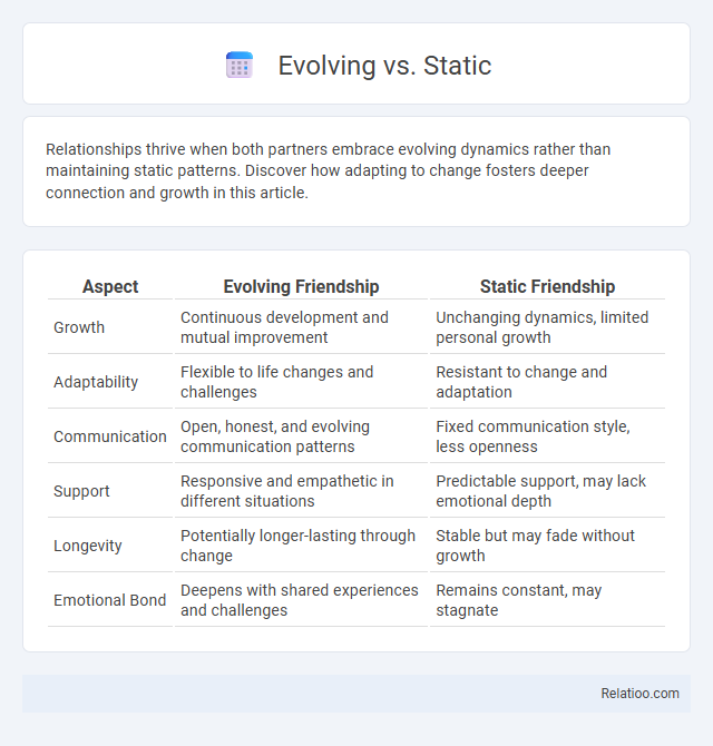 Evolving vs. Static - What is The Difference?