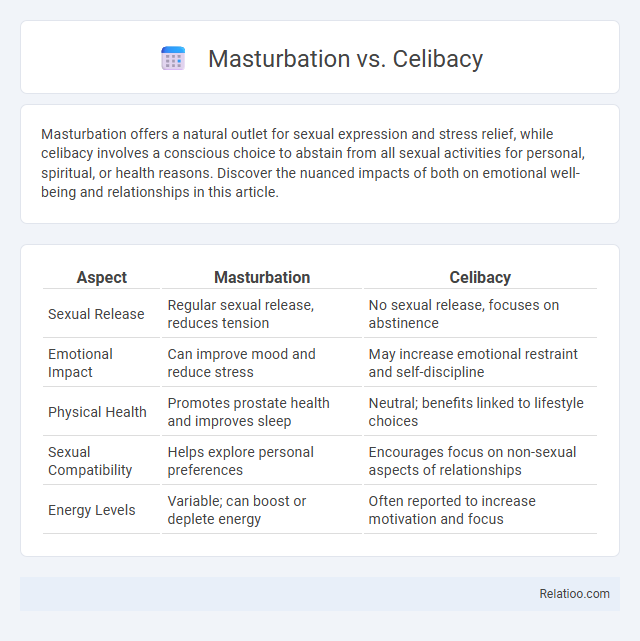 Masturbation vs. Celibacy - What is The Difference?