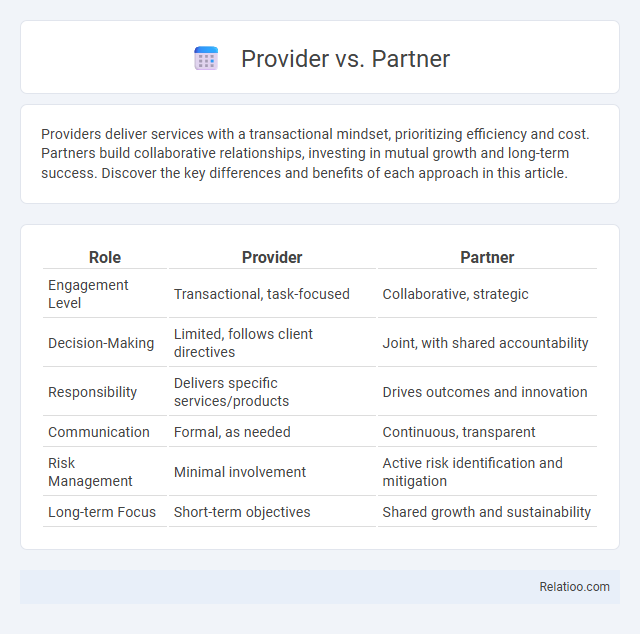 Provider vs. Partner - What is The Difference?