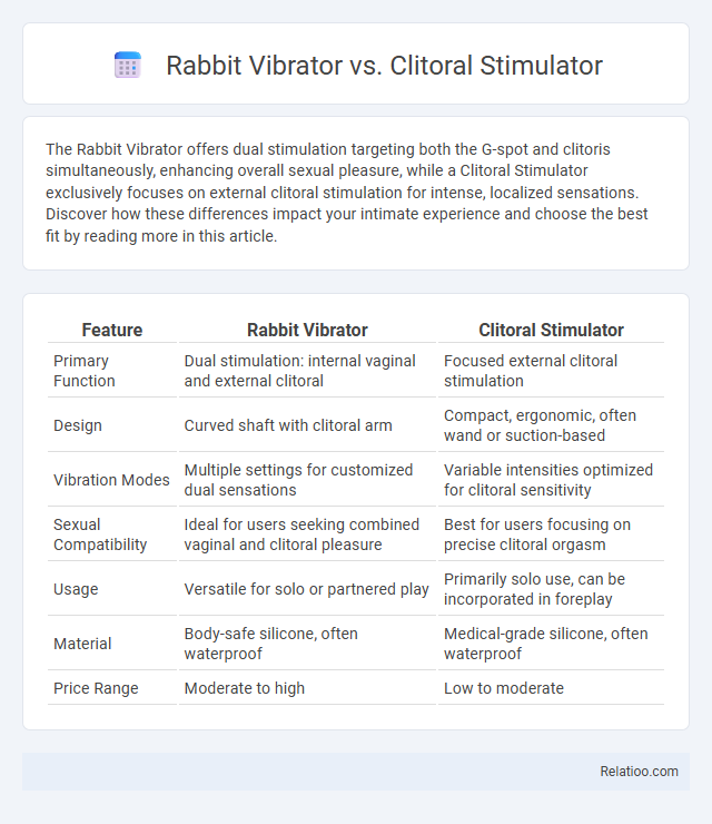 Rabbit Vibrator vs. Clitoral Stimulator - What is The Difference?