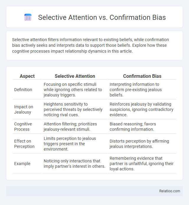 Selective Attention vs. Confirmation Bias - What is The Difference?