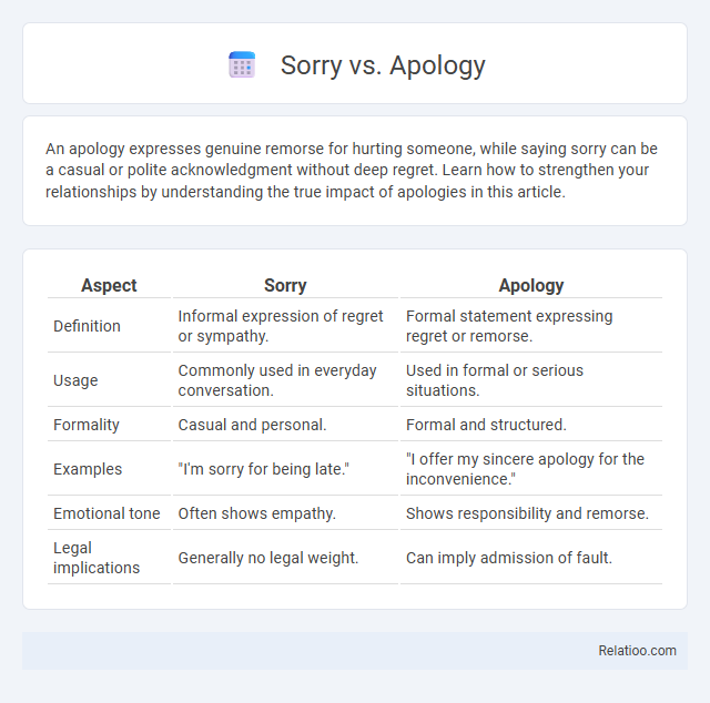 Sorry vs. Apology - What is The Difference?