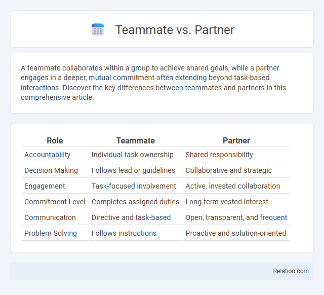 Teammate vs. Partner - What is The Difference?