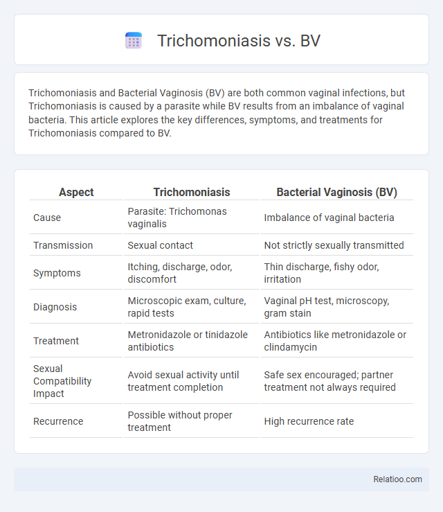 Trichomoniasis vs. BV - What is The Difference?