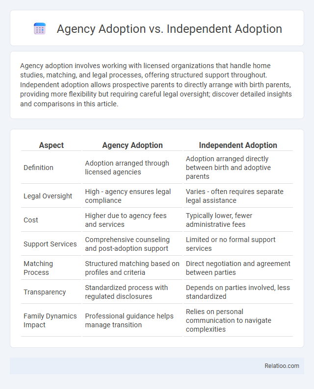 Agency Adoption vs. Independent Adoption - What is The Difference?