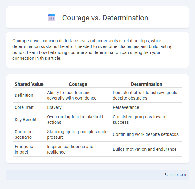Courage vs. Determination - What is The Difference?