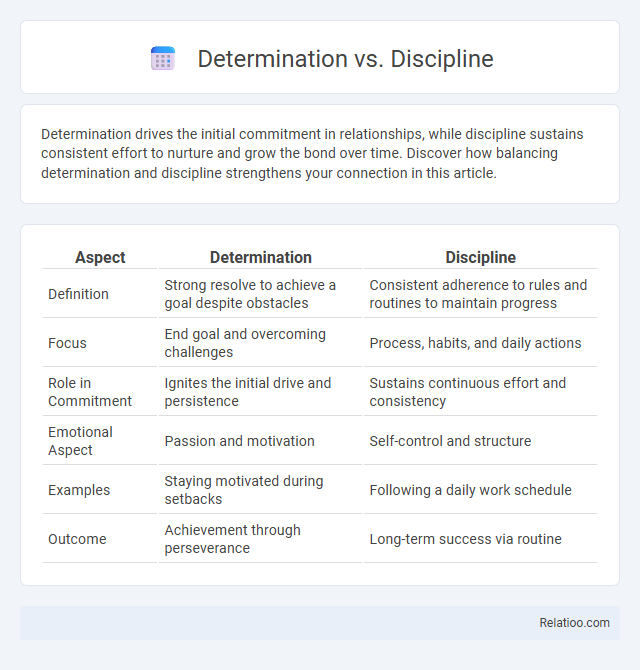 Determination vs. Discipline - What is The Difference?