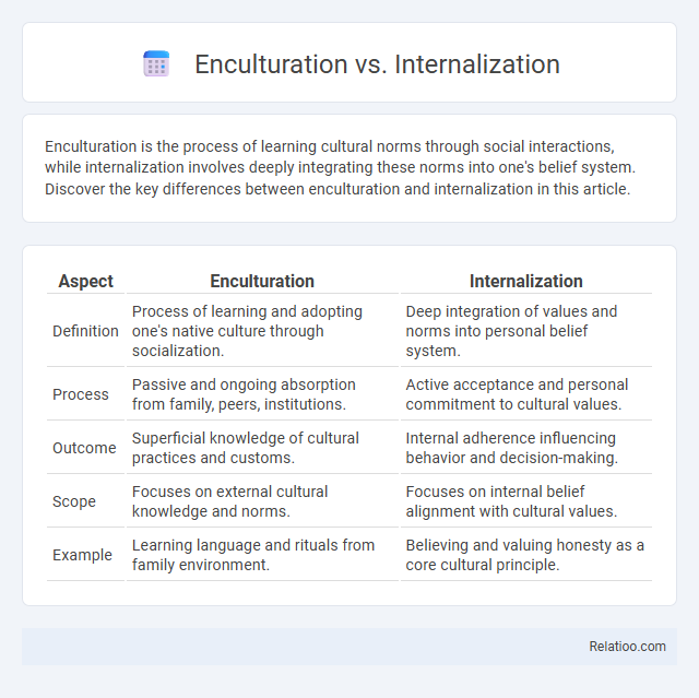Enculturation vs. Internalization - What is The Difference?