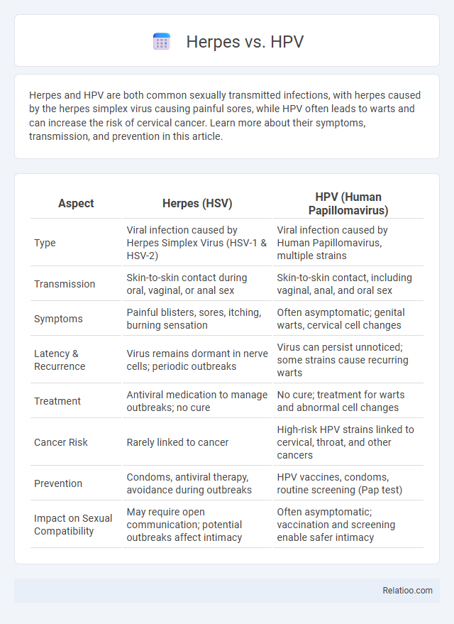 Herpes vs. HPV - What is The Difference?