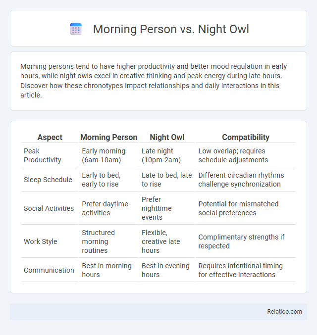 Morning Person vs. Night Owl - What is The Difference?