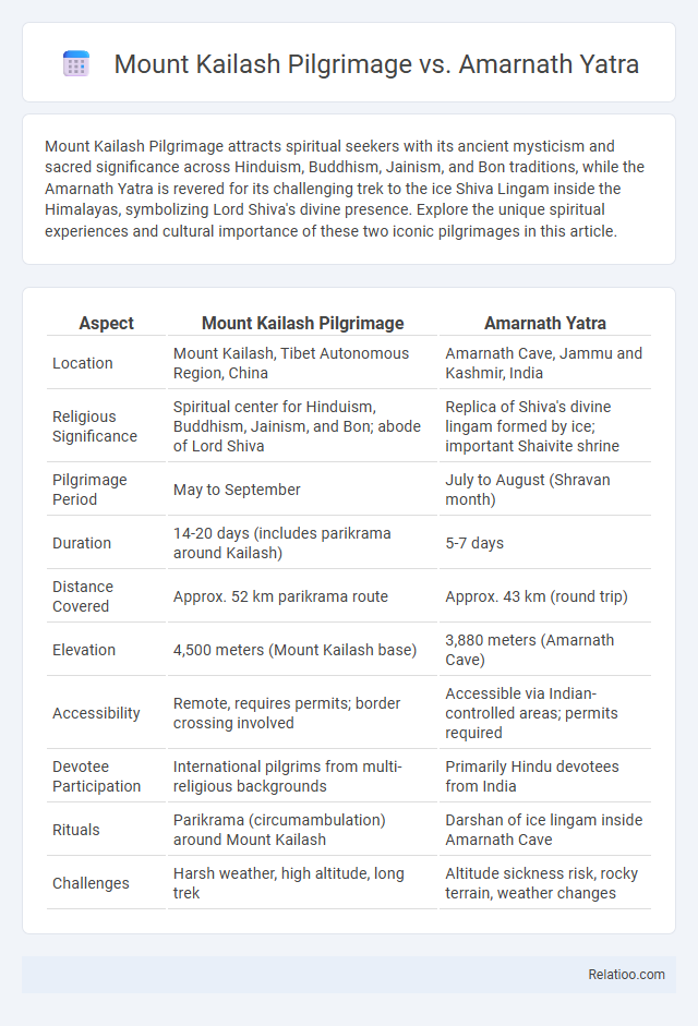 Mount Kailash Pilgrimage vs. Amarnath Yatra - What is The Difference?