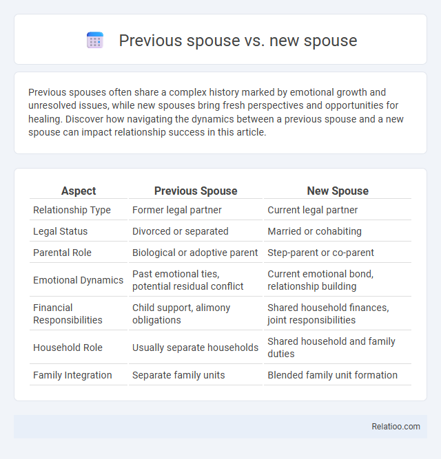 Previous spouse vs. new spouse - What is The Difference?