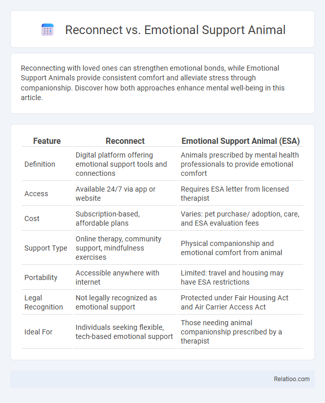 Reconnect vs. Emotional Support Animal - What is The Difference?