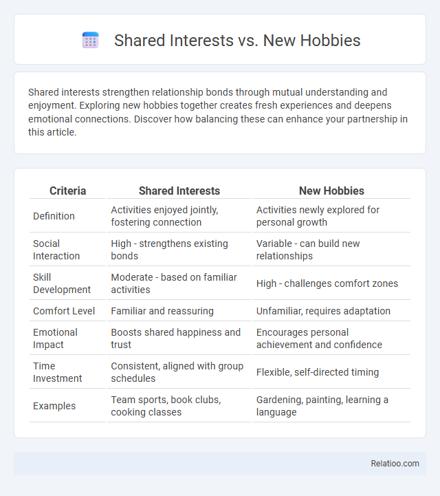 Shared Interests vs. New Hobbies - What is The Difference?