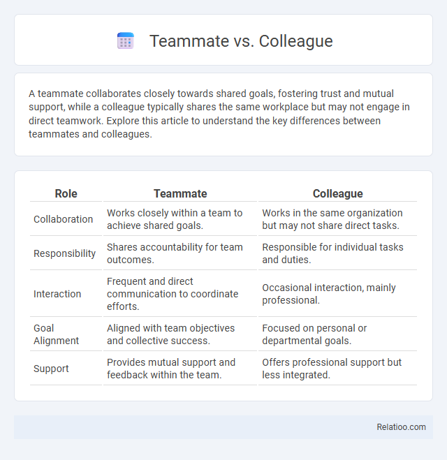 Teammate vs. Colleague - What is The Difference?
