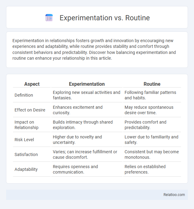 Experimentation vs. Routine - What is The Difference?