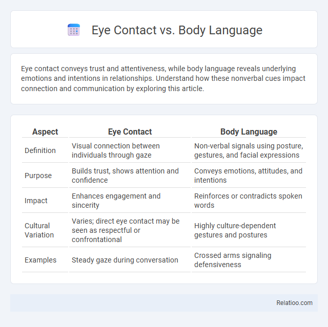 Eye Contact vs. Body Language - What is The Difference?