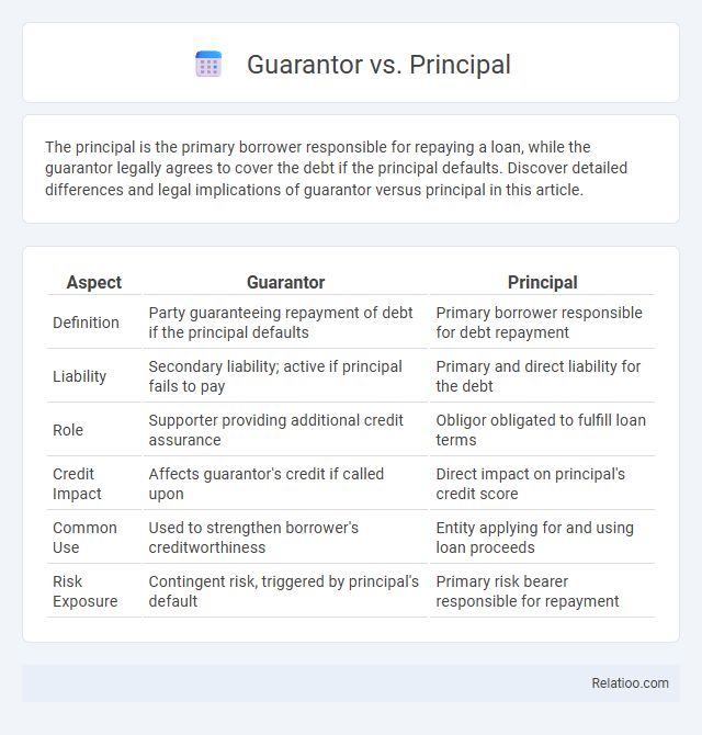Guarantor vs. Principal - What is The Difference?