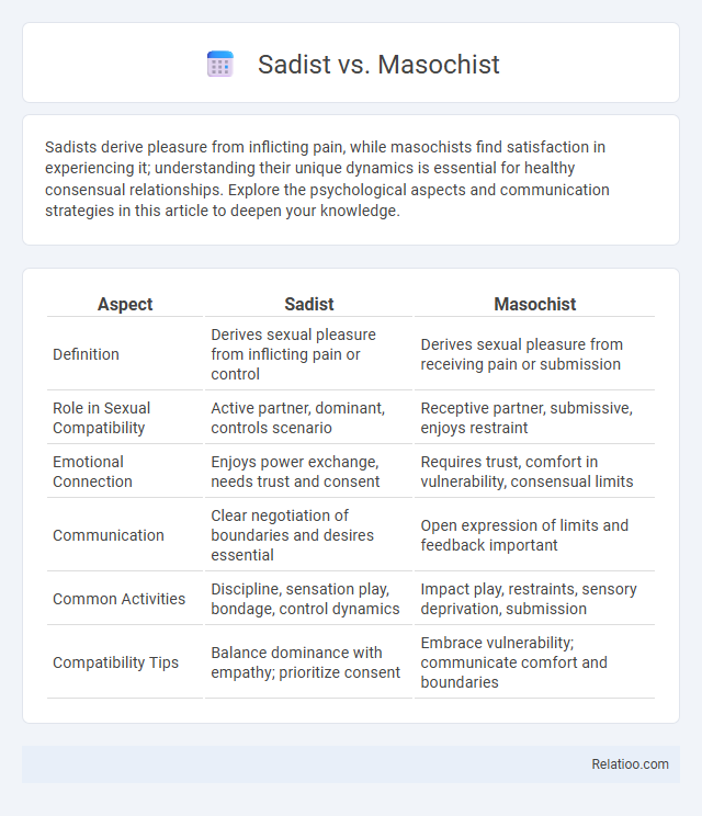 Sadist vs. Masochist - What is The Difference?