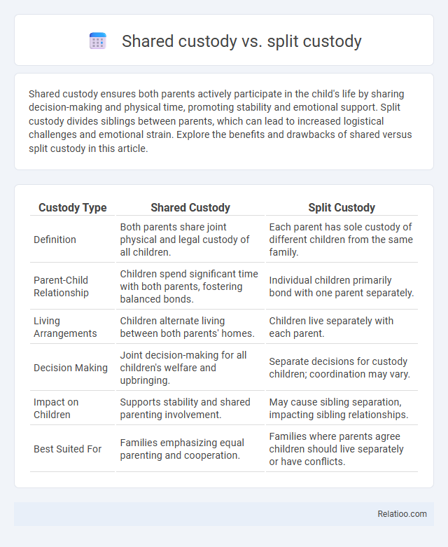 Shared custody vs. split custody - What is The Difference?