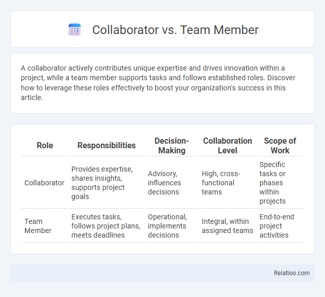 Collaborator vs. Team Member - What is The Difference?