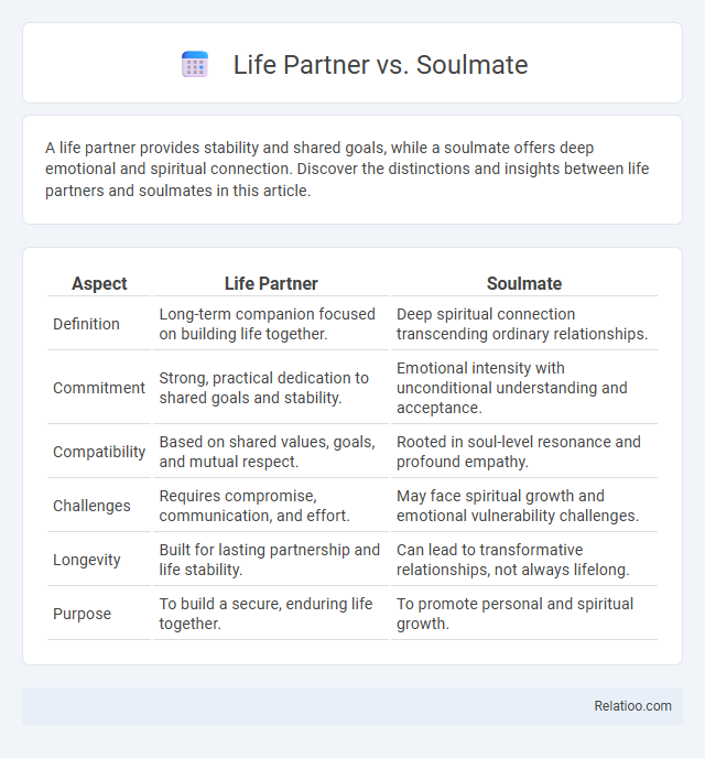 Life Partner vs. Soulmate - What is The Difference?