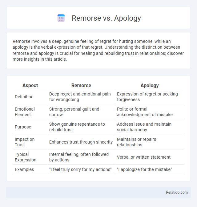 Remorse vs. Apology - What is The Difference?
