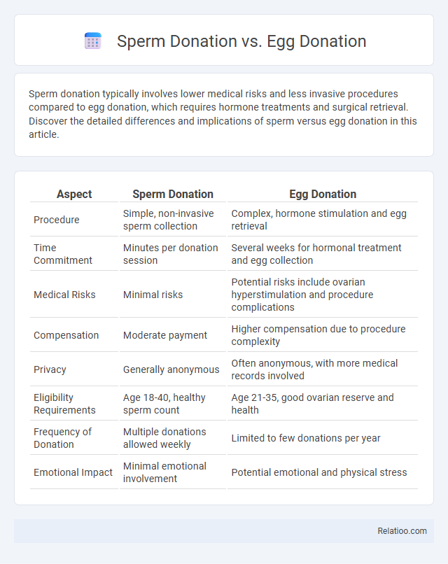 Sperm Donation vs. Egg Donation - What is The Difference?