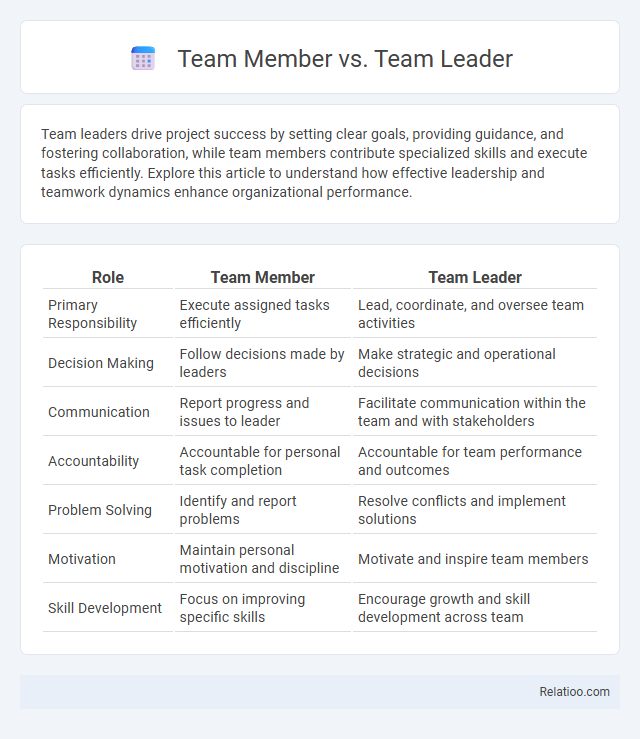 Team Member vs. Team Leader - What is The Difference?