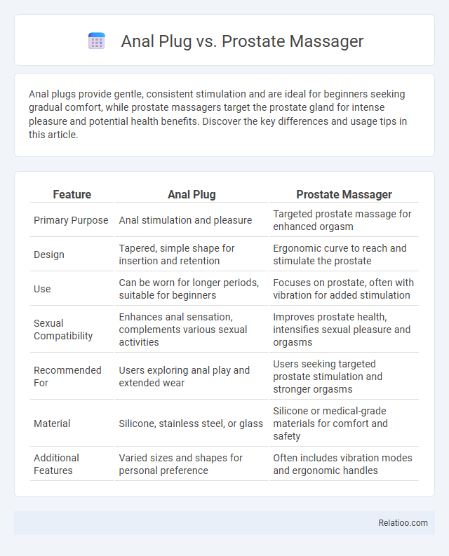 Anal Plug vs. Prostate Massager - What is The Difference?