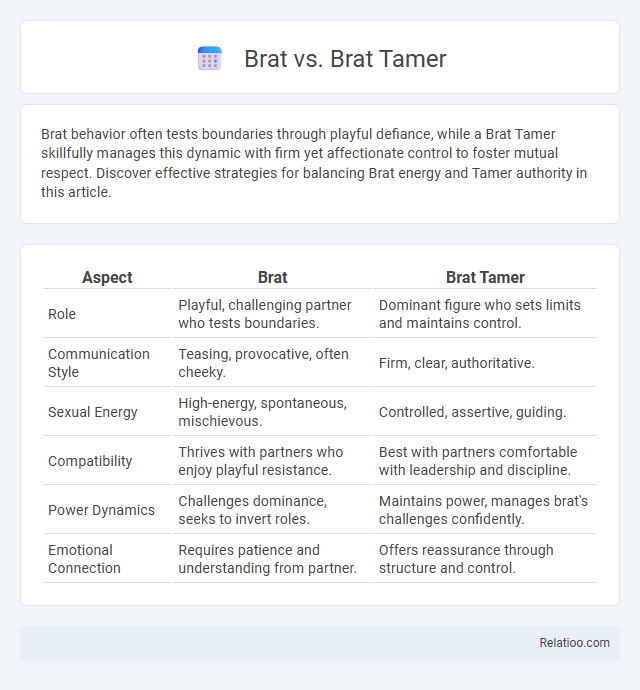Brat vs. Brat Tamer - What is The Difference?