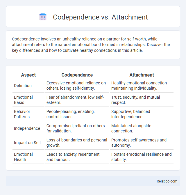 Codependence vs. Attachment - What is The Difference?