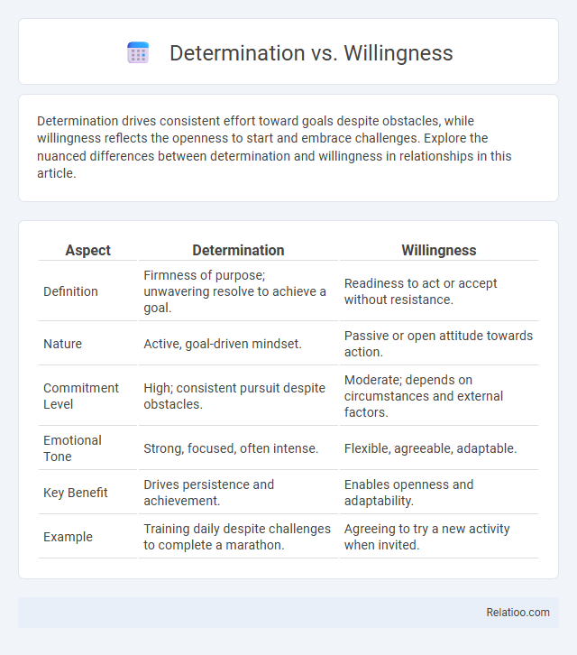 Determination vs. Willingness - What is The Difference?