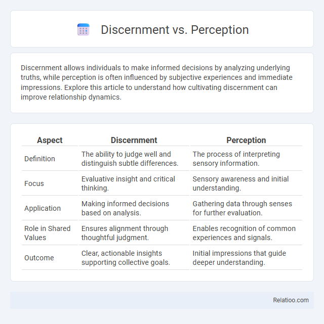Discernment vs. Perception - What is The Difference?