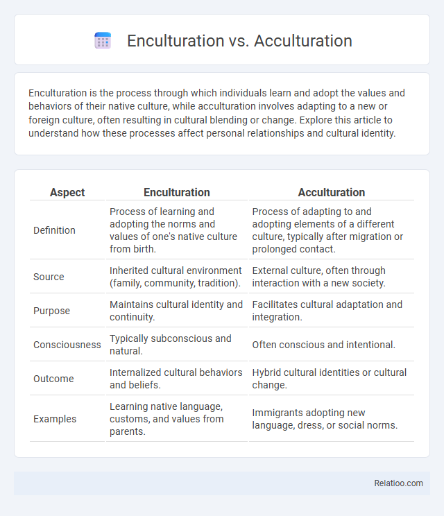 Enculturation vs. Acculturation - What is The Difference?
