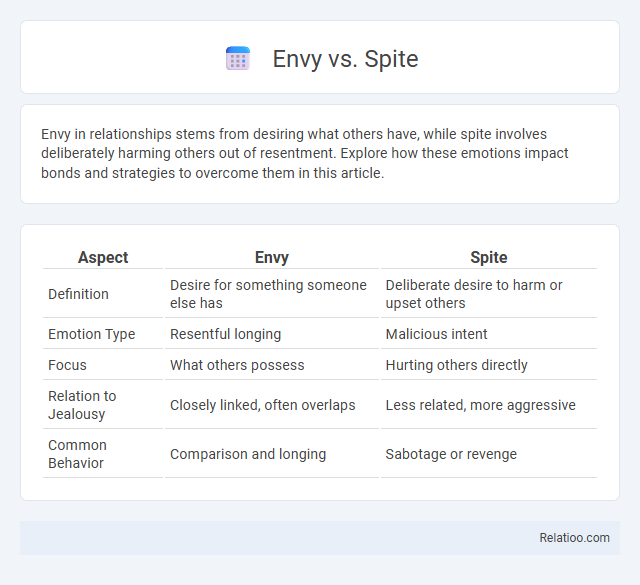 Envy vs. Spite - What is The Difference?