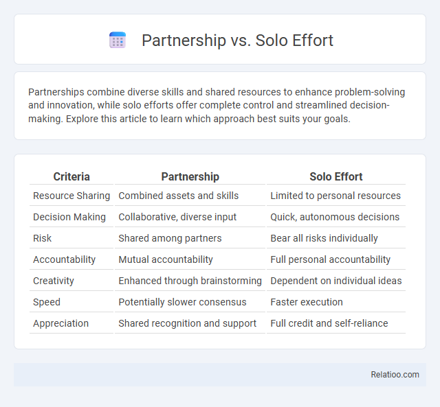 Partnership vs. Solo Effort - What is The Difference?