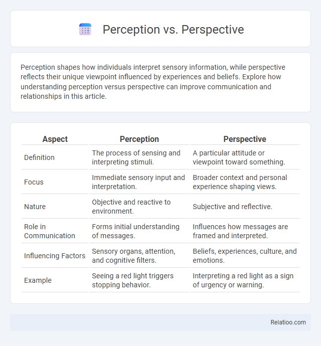 Perception vs. Perspective - What is The Difference?