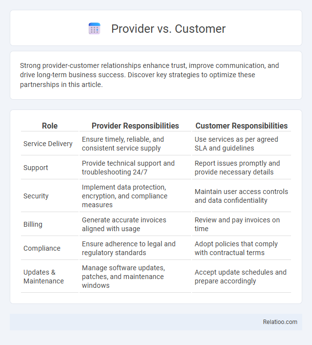 Provider vs. Customer - What is The Difference?