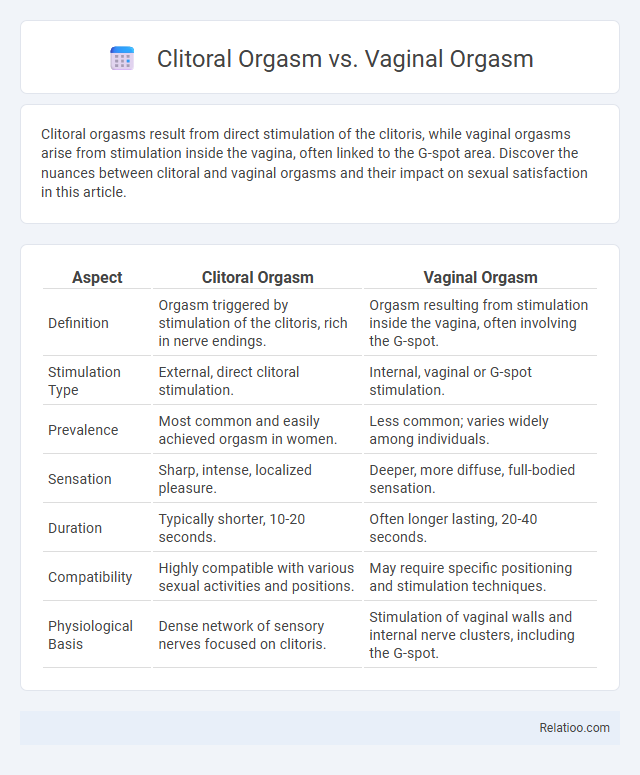 Clitoral Orgasm vs. Vaginal Orgasm - What is The Difference?