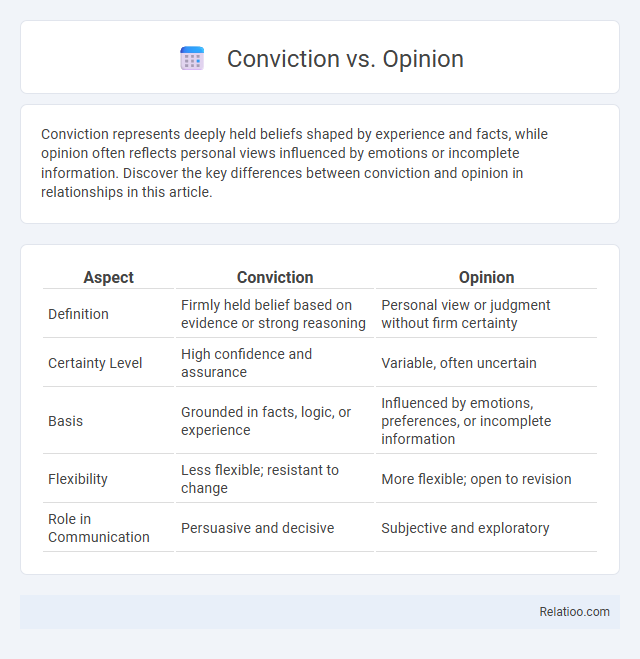 Conviction vs. Opinion - What is The Difference?